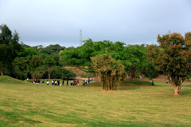 半山公園風(fēng)景圖 (2).JPG